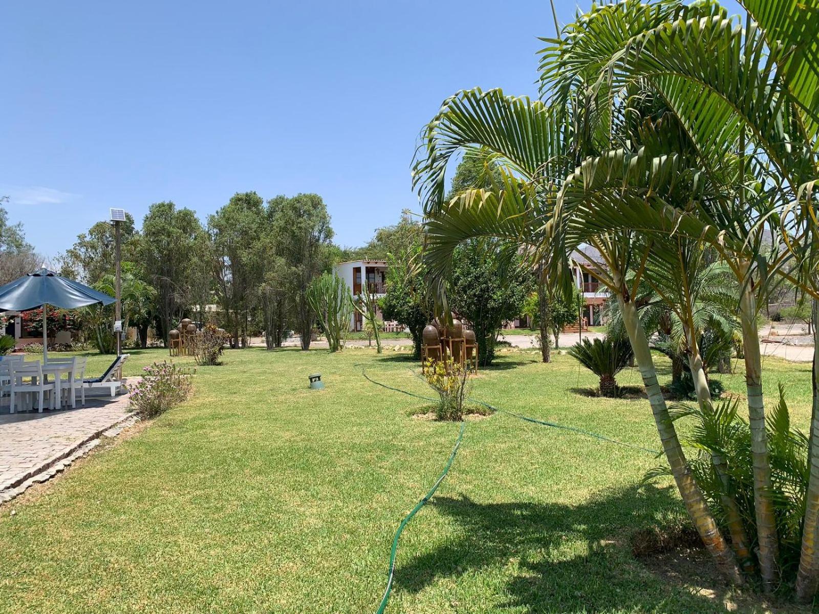 Casa Hacienda Nasca Oasis Hotel Nazca Exterior photo